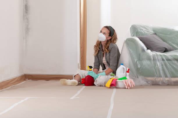 Reliable Crawl Space Mold Remediation contractor in Bloomingdale, GA by 24 Hour Mold Removal