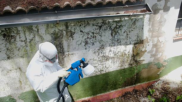 Top rated local Crawl Space Mold Remediation specialists in Bloomingdale, GA